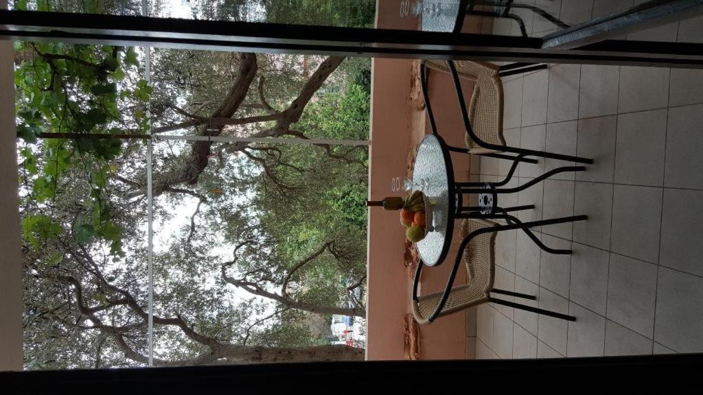 Guest House Vukovic Petrovac Bilik gambar