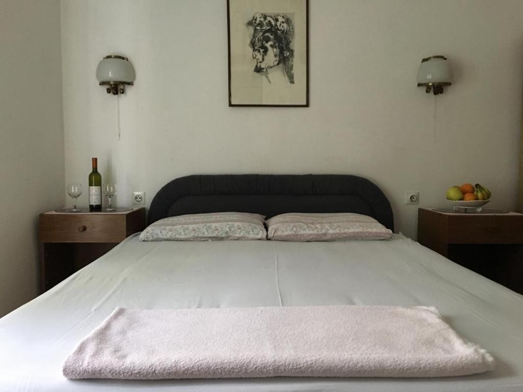 Guest House Vukovic Petrovac Bilik gambar